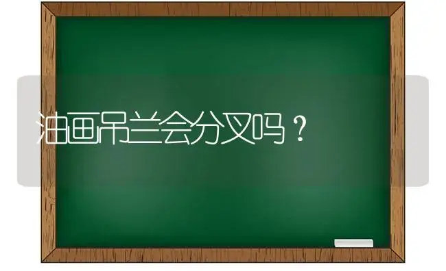 油画吊兰会分叉吗？ | 植物问答