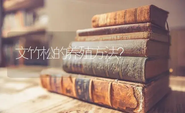 富贵竹侧面发芽了，怎么能培养一个新的出来？ | 植物问答