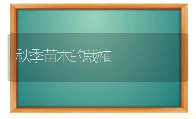 果树和观赏大树移栽处理方法-园林工程苗木种植技术 | 植物科普