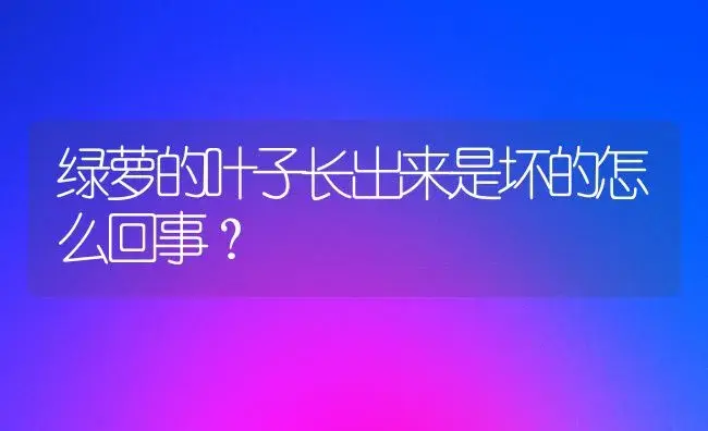 绿萝的叶子长出来是坏的怎么回事？ | 植物问答