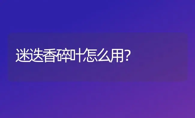 迷迭香碎叶怎么用？ | 植物问答