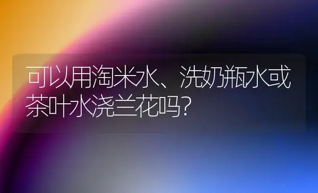 可以用淘米水、洗奶瓶水或茶叶水浇兰花吗？ | 植物科普
