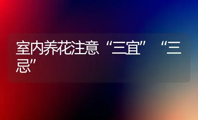 室内养花注意“三宜”“三忌” | 植物知识