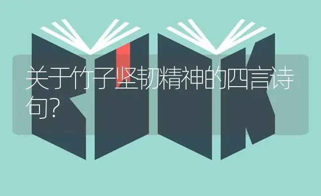 关于竹子坚韧精神的四言诗句？ | 植物问答