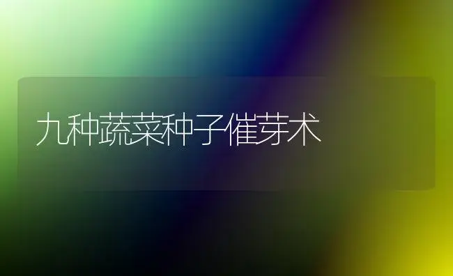 九种蔬菜种子催芽术 | 植物科普