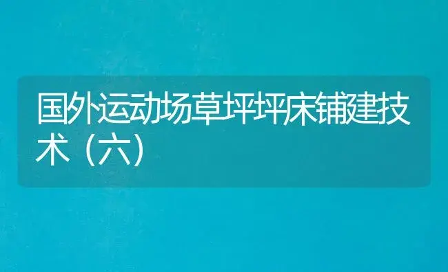 国外运动场草坪坪床铺建技术（六） | 植物知识