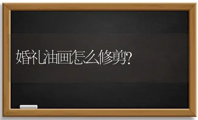 发财树叶子发黄是水大了吗？ | 植物问答