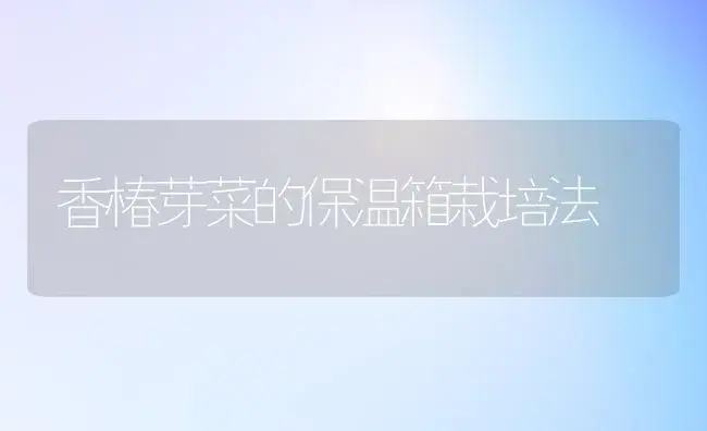 香椿芽菜的保温箱栽培法 | 植物科普