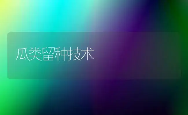 瓜类留种技术 | 植物科普