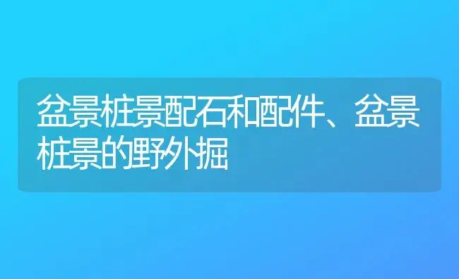 盆景桩景配石和配件、盆景桩景的野外掘 | 植物科普