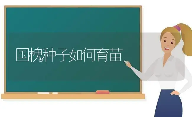 国槐种子如何育苗 | 植物科普