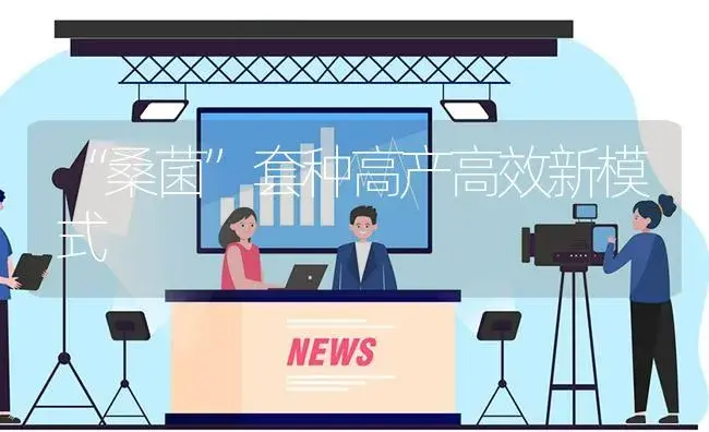 “桑菌”套种高产高效新模式 | 植物资料