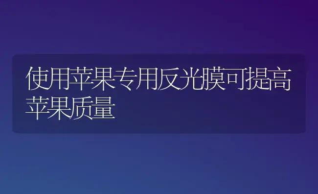 使用苹果专用反光膜可提高苹果质量 | 植物百科