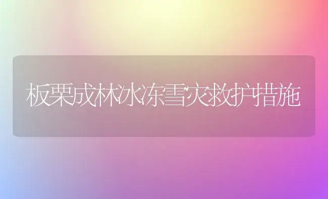 板栗成林冰冻雪灾救护措施 | 植物科普