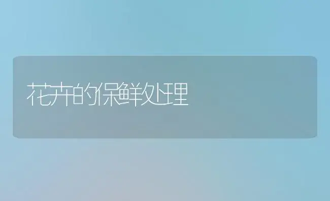 花卉的保鲜处理 | 植物知识