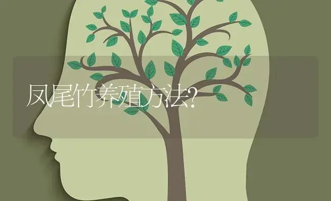 凤尾竹养殖方法？ | 植物问答