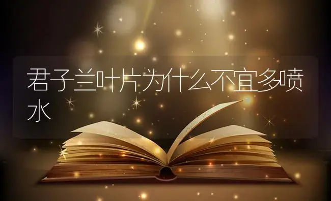 君子兰叶片为什么不宜多喷水 | 植物知识