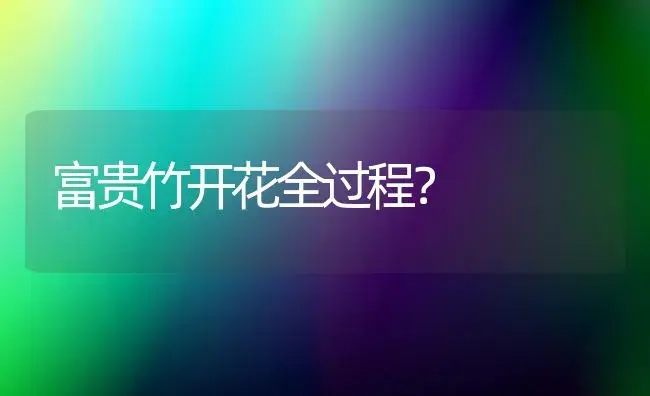 富贵竹开花全过程？ | 植物问答