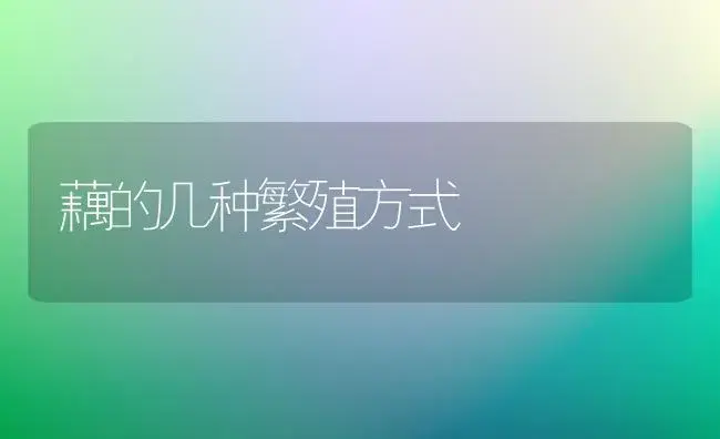 藕的几种繁殖方式 | 植物百科