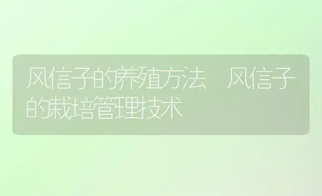 风信子的养殖方法 风信子的栽培管理技术 | 植物科普