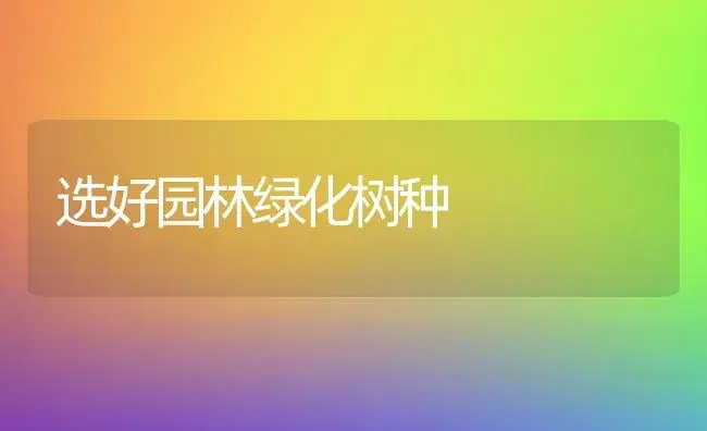 选好园林绿化树种 | 植物科普