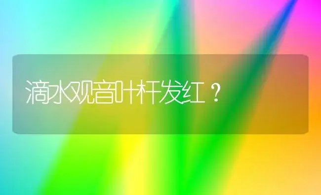 滴水观音叶杆发红？ | 植物问答