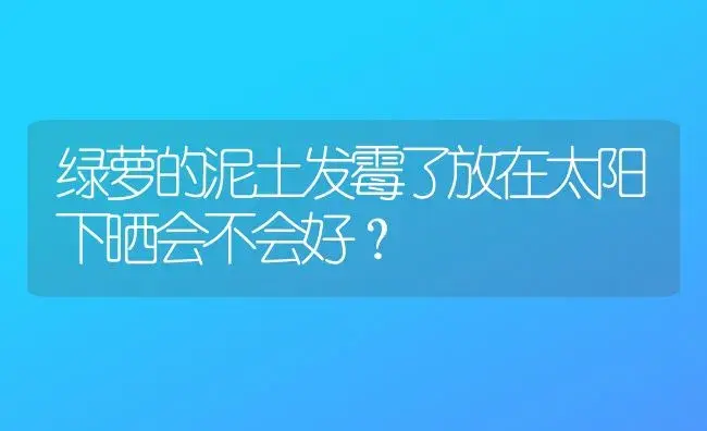 绿萝的泥土发霉了放在太阳下晒会不会好？ | 植物问答