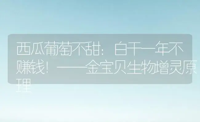 西瓜葡萄不甜：白干一年不赚钱！——金宝贝生物增灵原理 | 植物科普