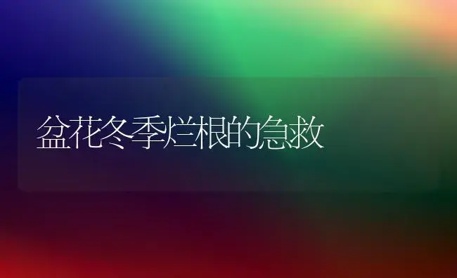 浅谈杏树的冬季修剪 | 植物科普