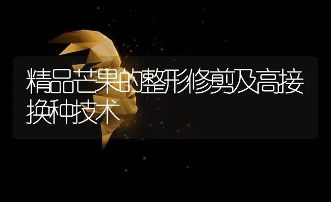 精品芒果的整形修剪及高接换种技术 | 植物科普