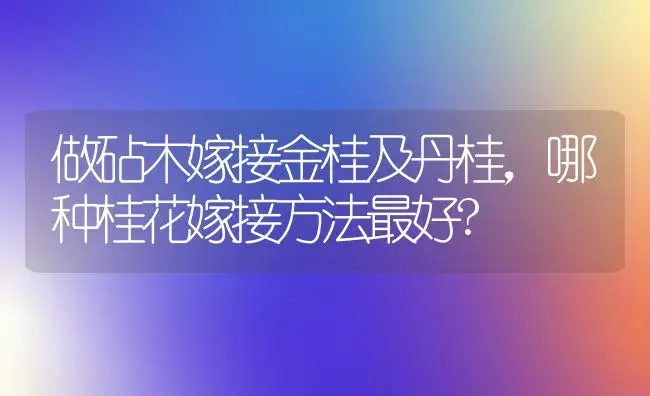 做砧木嫁接金桂及丹桂，哪种桂花嫁接方法最好? | 植物知识