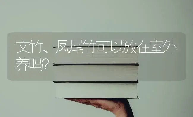 文竹、凤尾竹可以放在室外养吗？ | 植物问答