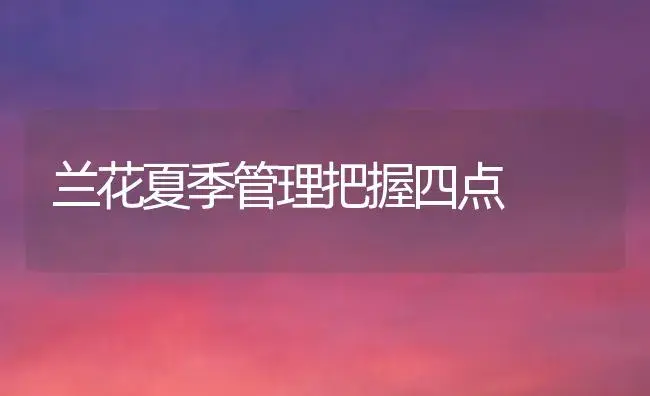 兰花夏季管理把握四点 | 植物知识