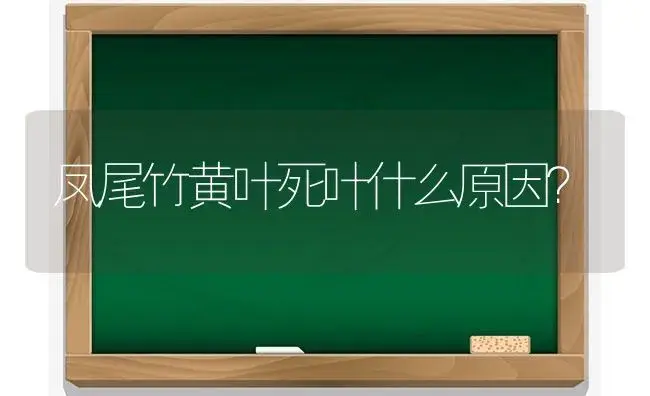 凤尾竹黄叶死叶什么原因？ | 植物问答