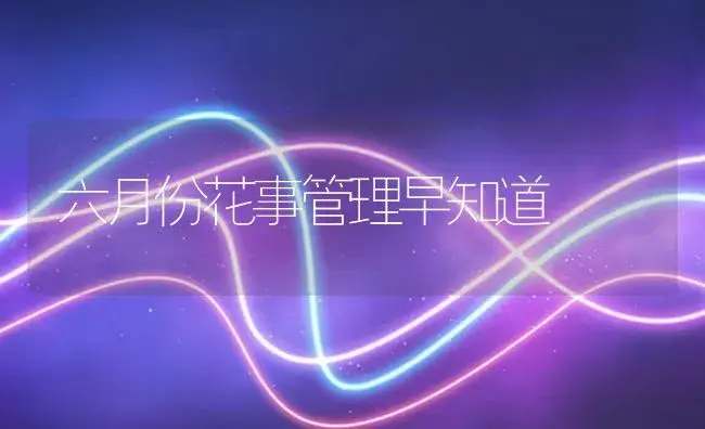 六月份花事管理早知道 | 植物知识
