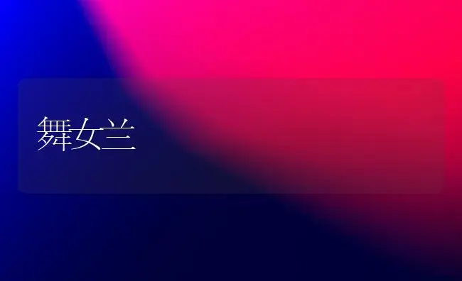舞女兰 | 植物知识