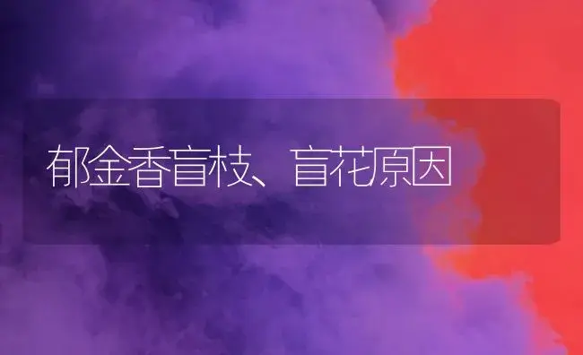 郁金香盲枝、盲花原因 | 植物科普