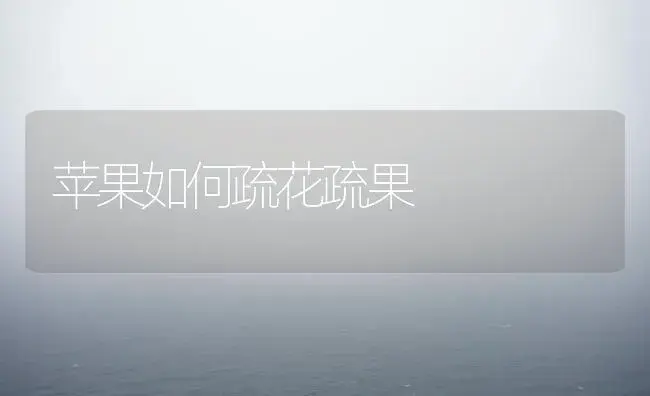 苹果如何疏花疏果 | 植物百科
