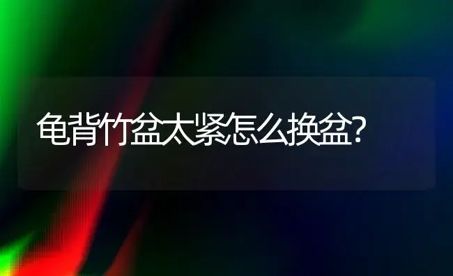 龟背竹盆太紧怎么换盆？ | 植物问答