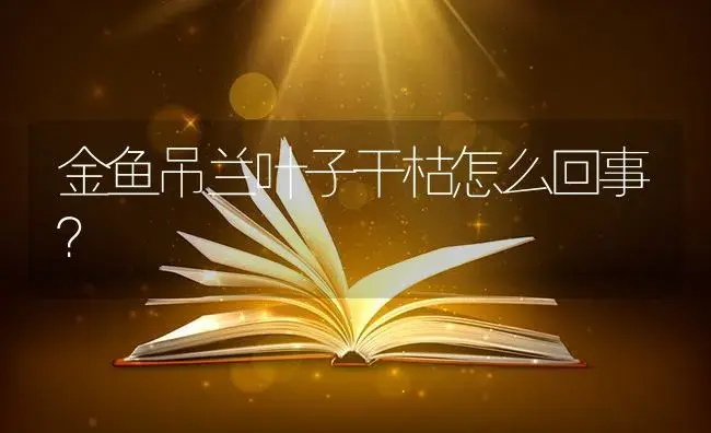 金鱼吊兰叶子干枯怎么回事？ | 植物问答