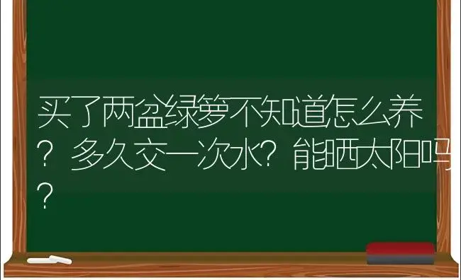 买了两盆绿箩不知道怎么养？多久交一次水？能晒太阳吗？ | 植物问答