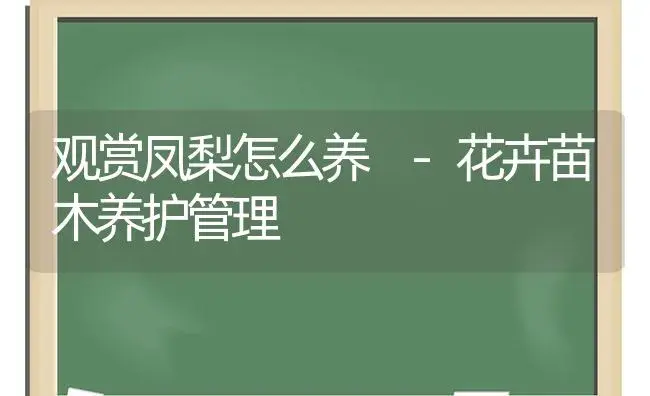 君子兰冬季的养护要点-花卉苗木养护管理 | 植物科普