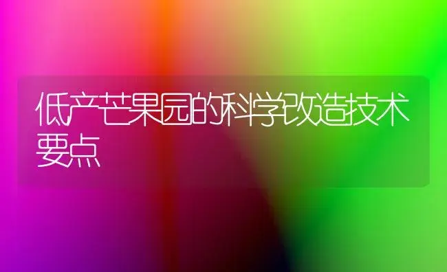 低产芒果园的科学改造技术要点 | 植物科普