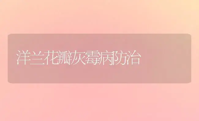 紫罗兰缺硼症 | 植物知识