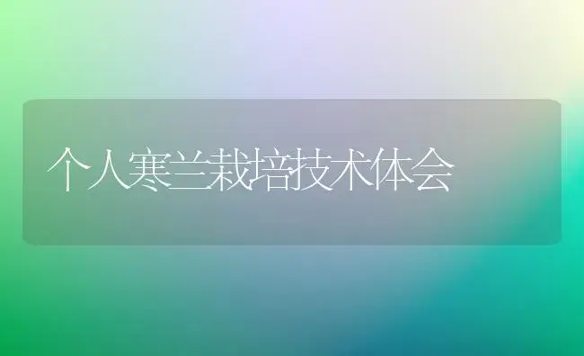 个人寒兰栽培技术体会 | 植物知识