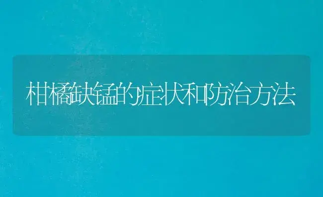 柑橘缺锰的症状和防治方法 | 植物百科