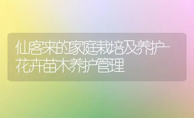 仙客来的家庭栽培及养护-花卉苗木养护管理 | 植物知识