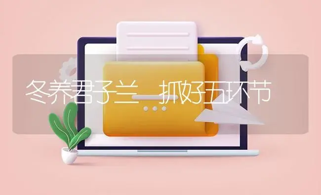 冬养君子兰 抓好五环节 | 植物知识
