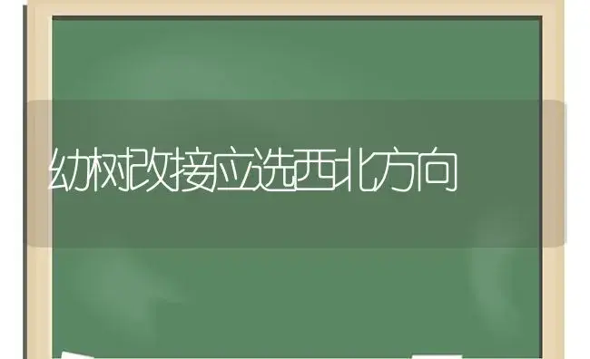 幼树改接应选西北方向 | 植物科普