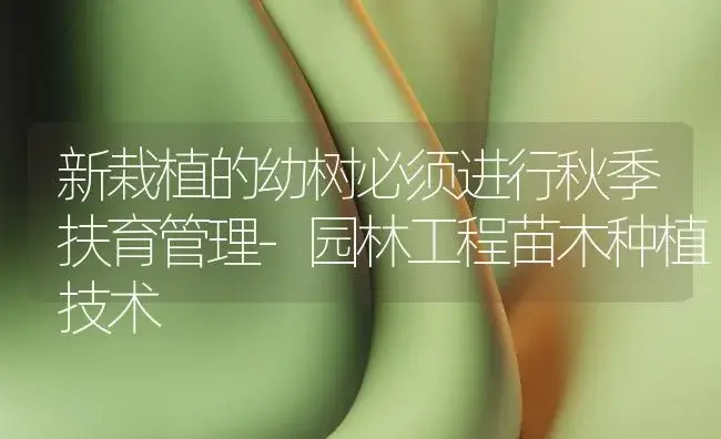 新栽植的幼树必须进行秋季扶育管理-园林工程苗木种植技术 | 植物知识